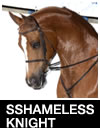 Sshameless Knight